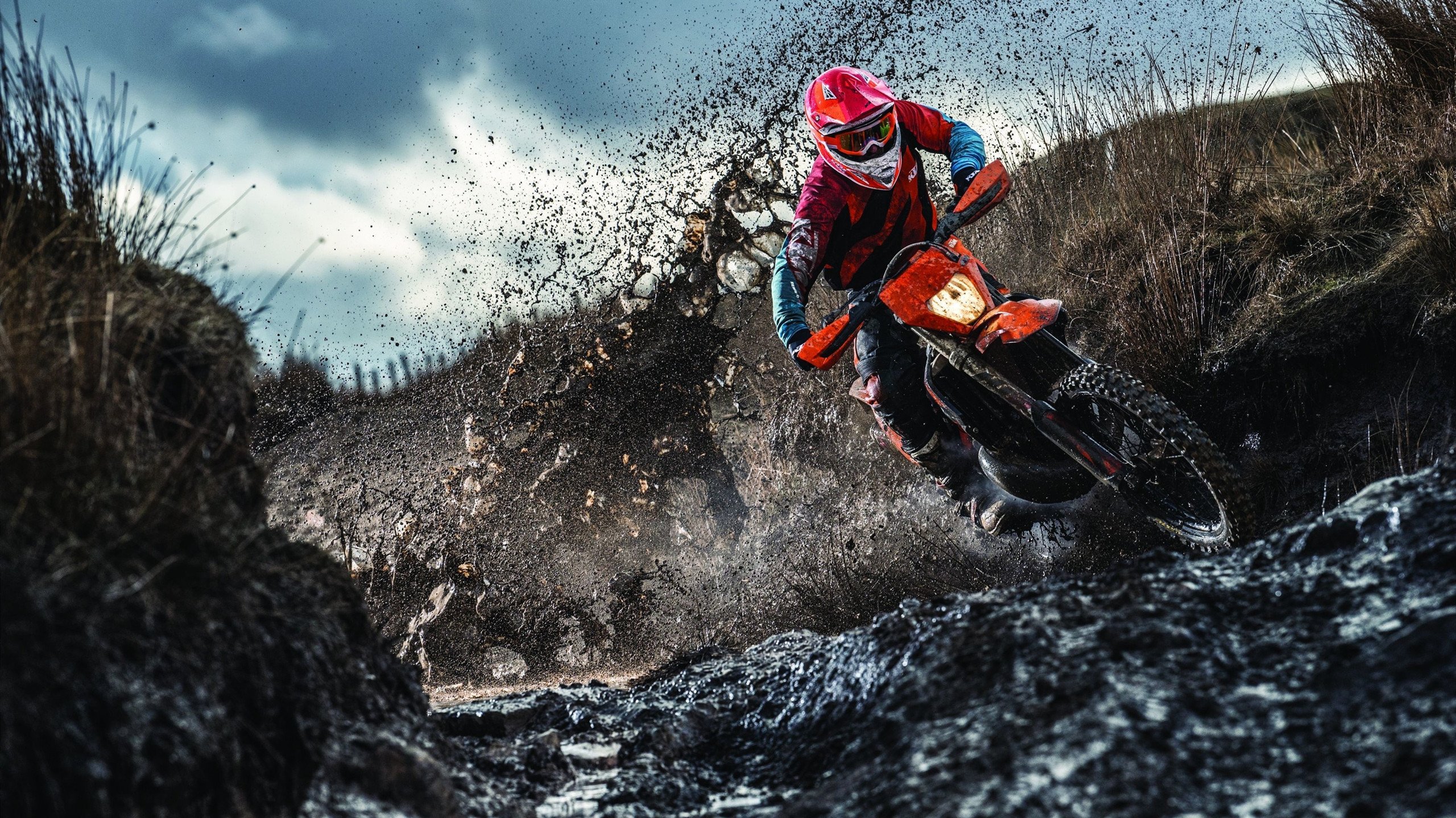 德甲争冠战焦点战，佛罗伦萨制霸喀麦隆，跨越大陆的足球叙事